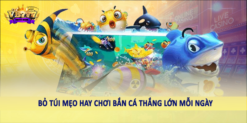 Bỏ túi mẹo hay chơi bắn cá thắng lớn mỗi ngày