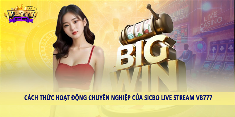 Cách thức hoạt động chuyên nghiệp của sicbo live stream VB777
